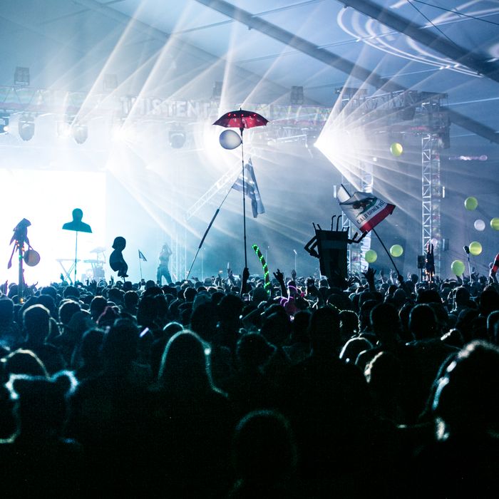 Festivals & concerts